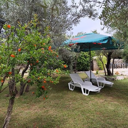 Marti'S House In The Olive Grove Apartment Fazana Bagian luar foto