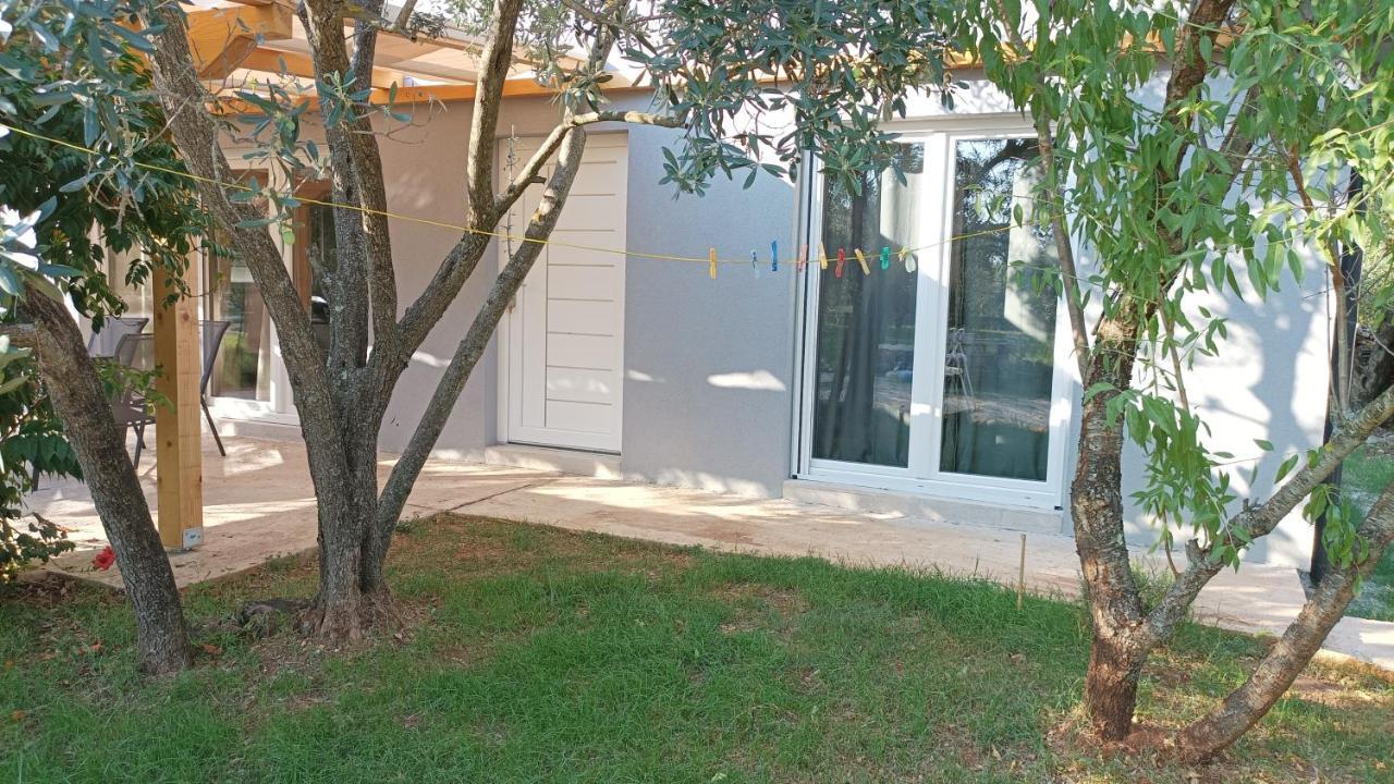 Marti'S House In The Olive Grove Apartment Fazana Bagian luar foto