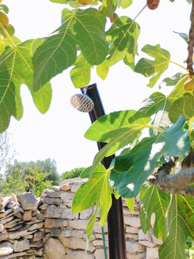 Marti'S House In The Olive Grove Apartment Fazana Bagian luar foto