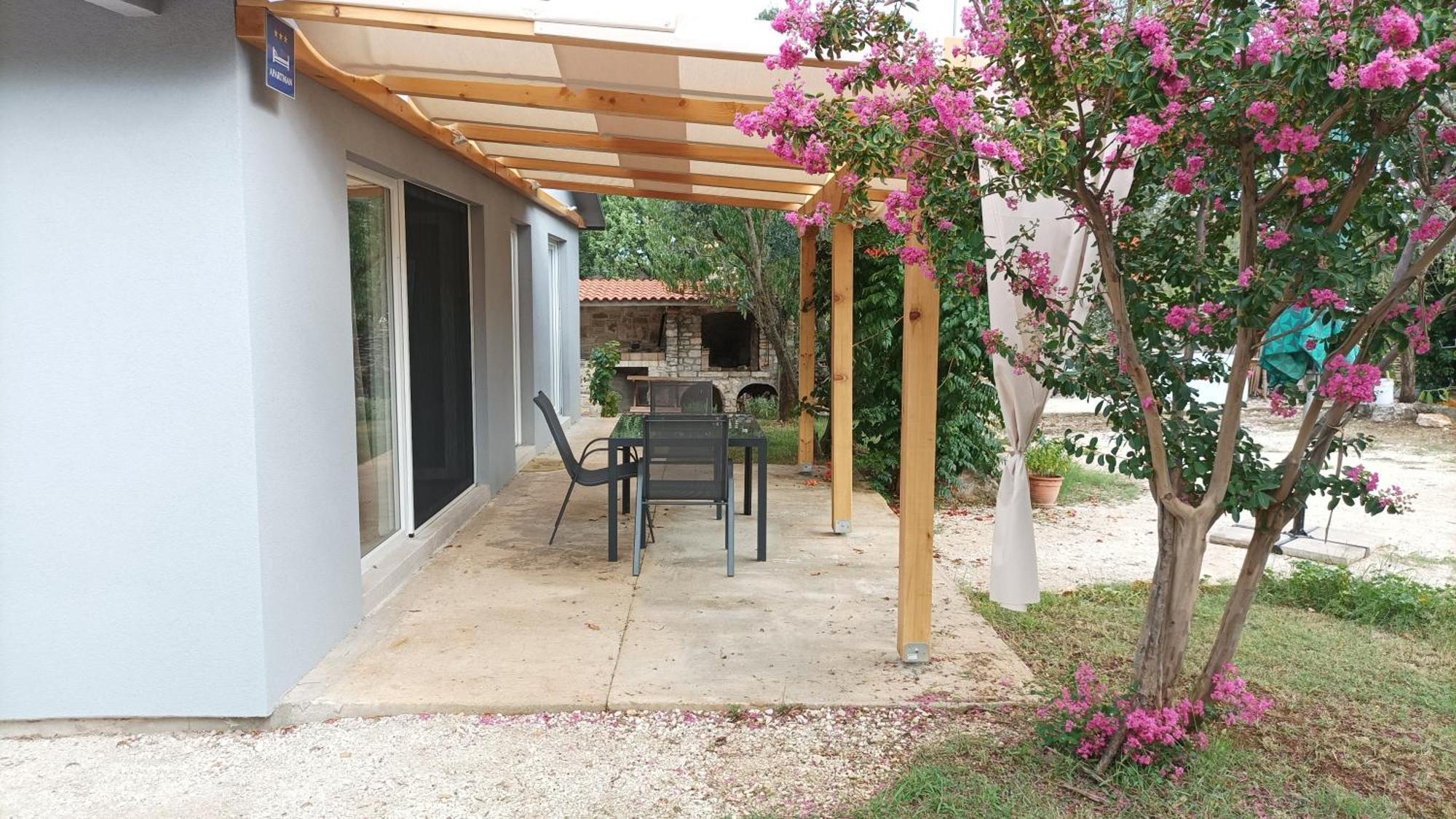 Marti'S House In The Olive Grove Apartment Fazana Bagian luar foto