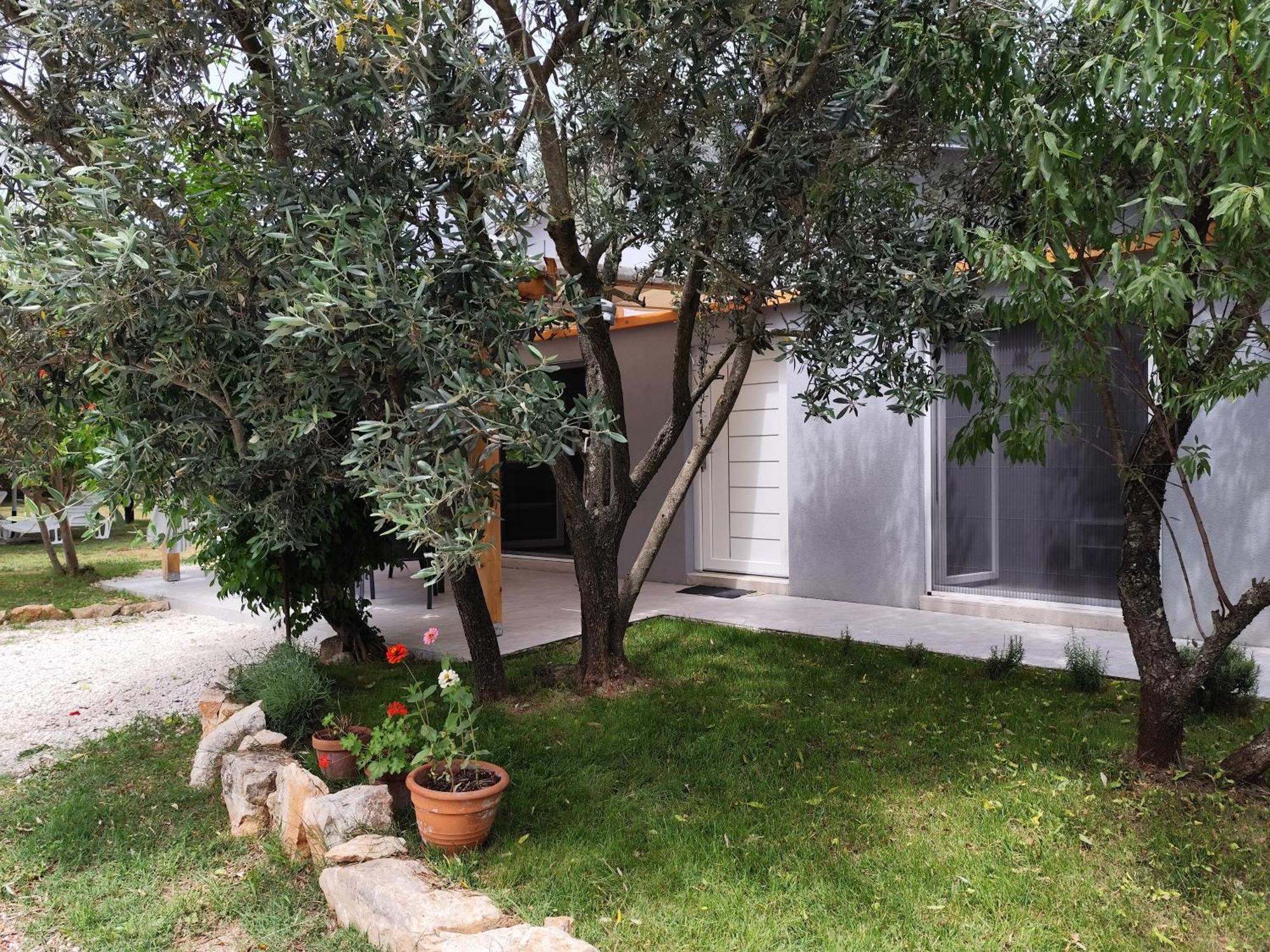 Marti'S House In The Olive Grove Apartment Fazana Bagian luar foto
