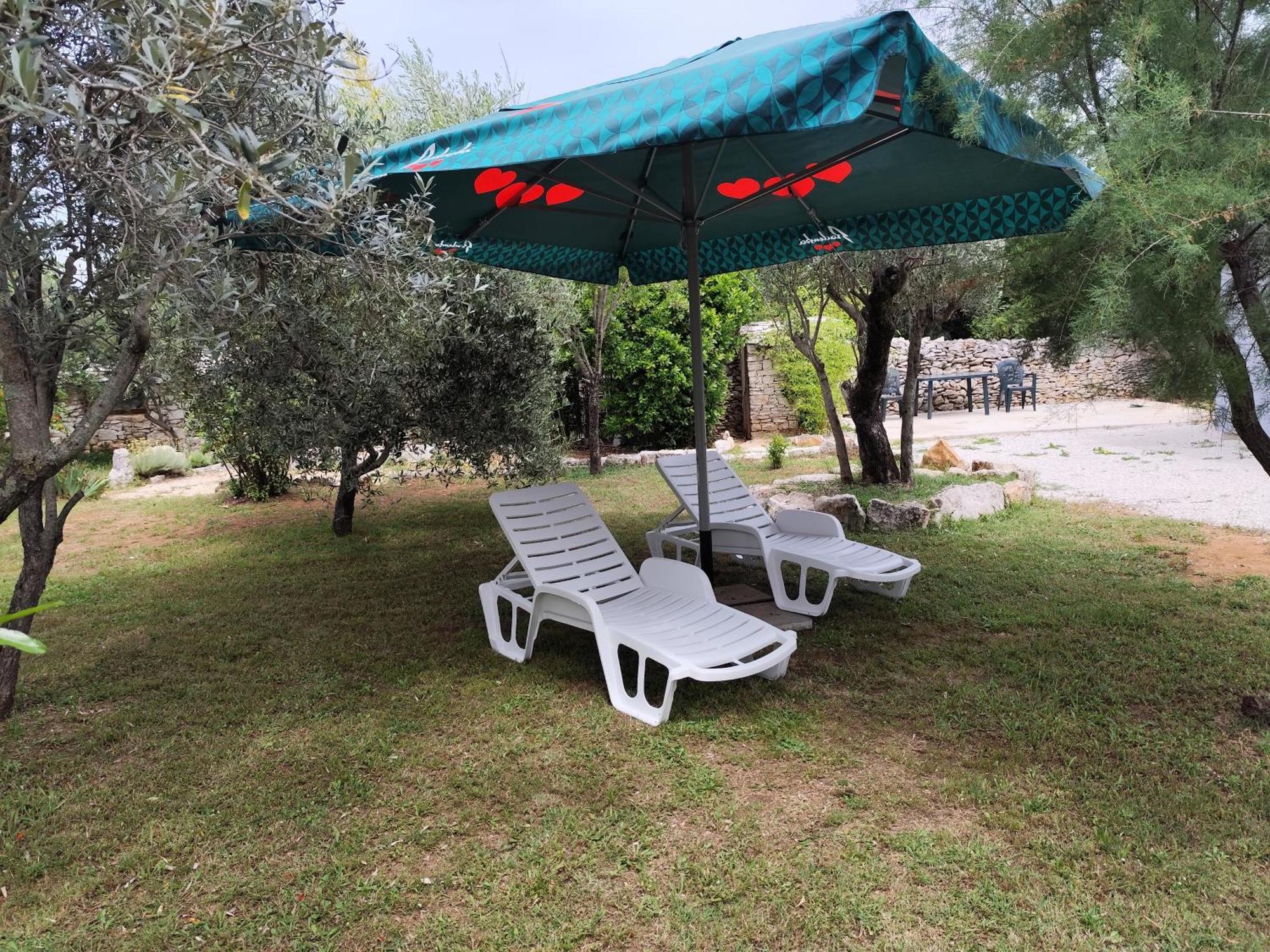 Marti'S House In The Olive Grove Apartment Fazana Bagian luar foto