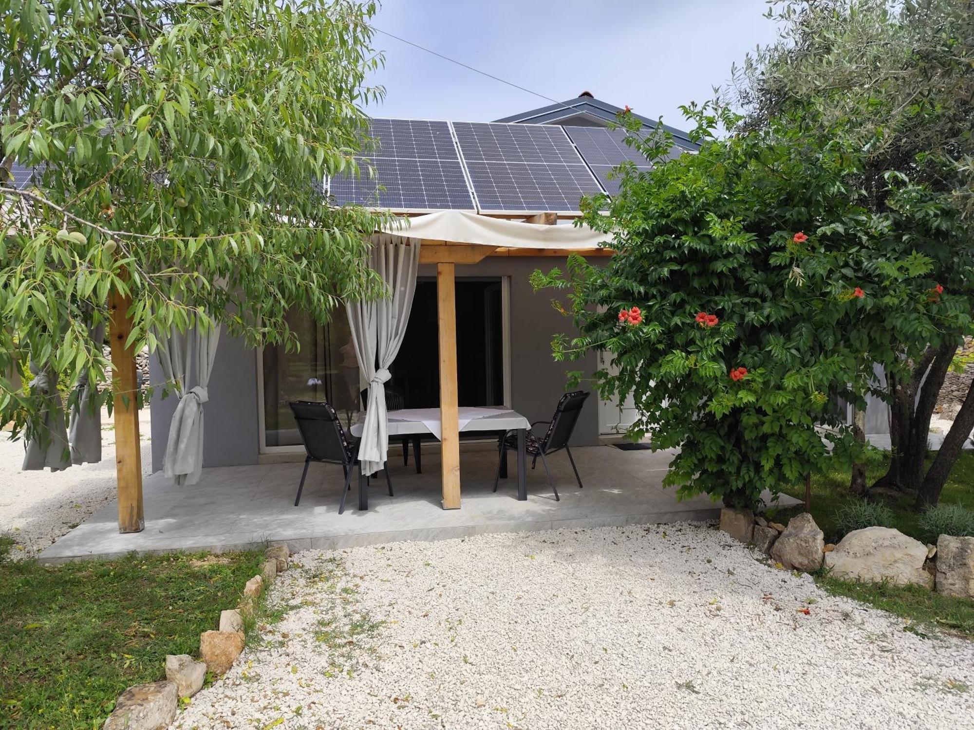 Marti'S House In The Olive Grove Apartment Fazana Bagian luar foto
