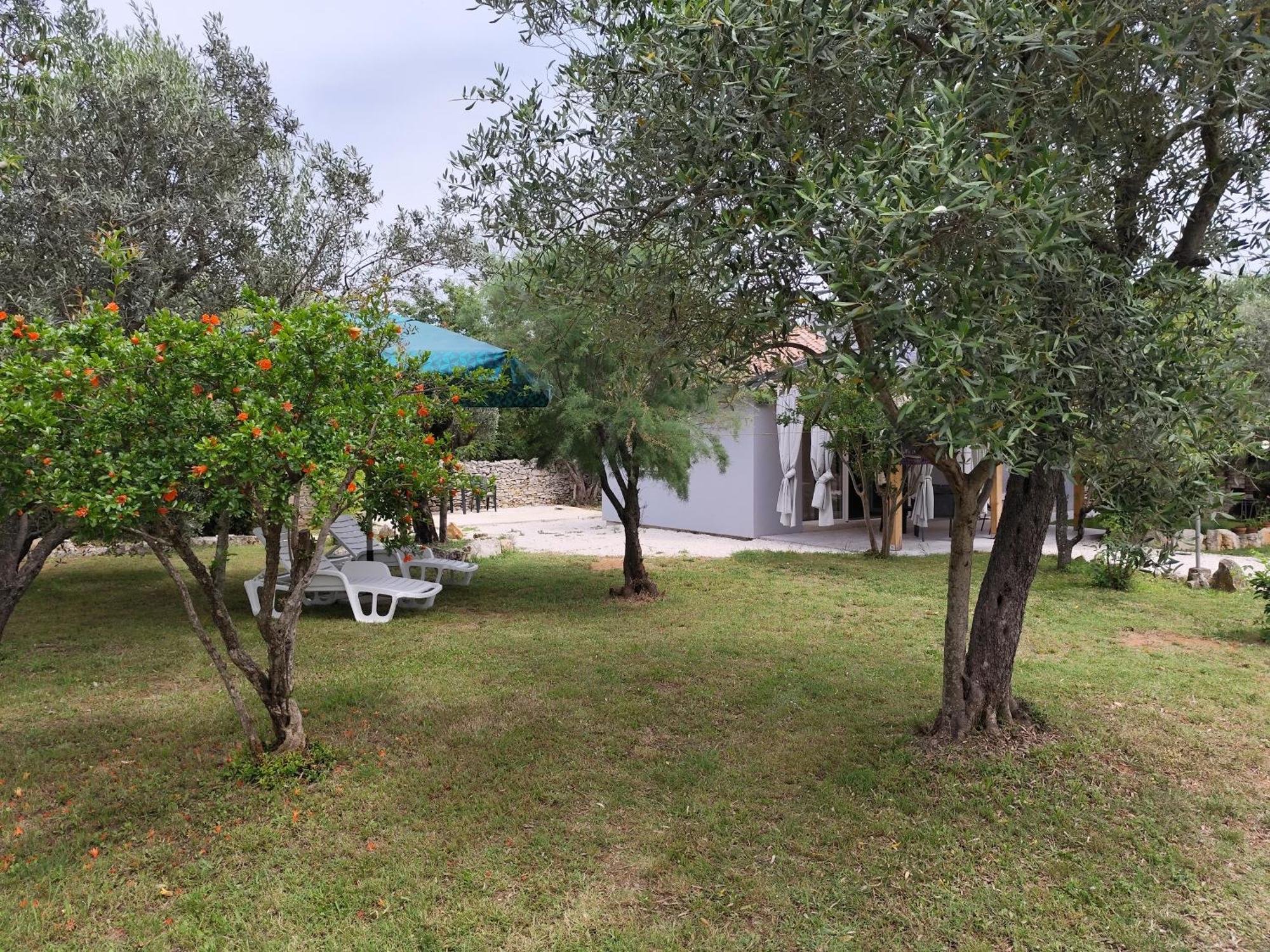 Marti'S House In The Olive Grove Apartment Fazana Bagian luar foto